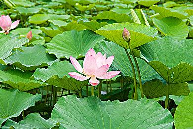 爆料称《星空》移植PS5的决定已敲定 只等厂商官宣